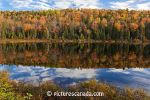 mauricie-014